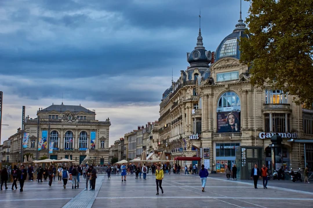 Montpellier HSC bientôt racheté : un nouveau départ sous haute tension en Ligue 1